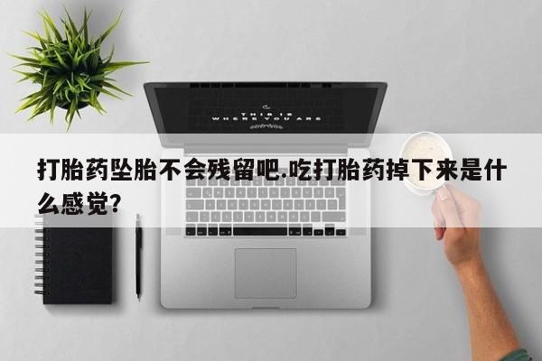 米非司酮片多少钱一盒打胎药坠胎不会残留吧.吃打胎药掉下来是什么感觉？